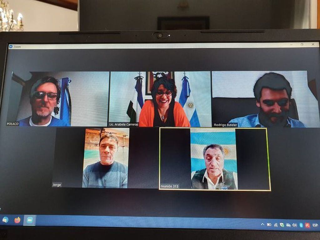 Reunión virtual entre excombatientes y Arabela Carreras (web).