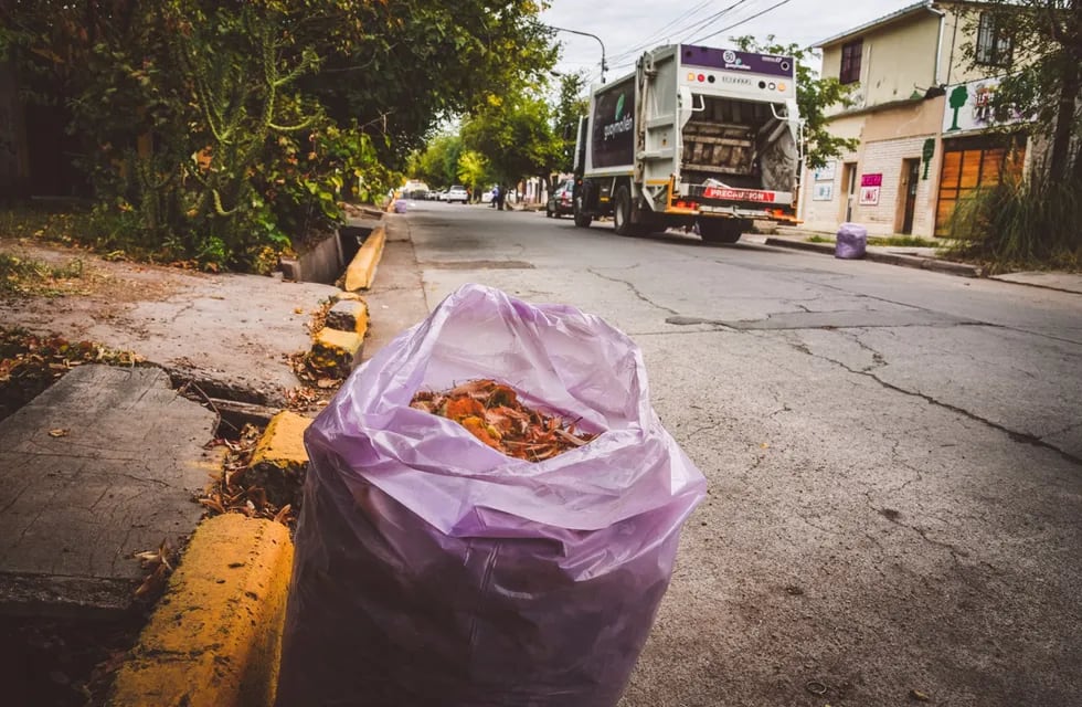 La municipalidad de Guaymallén entrega bolsas a sus vecinos para juntar hojas.