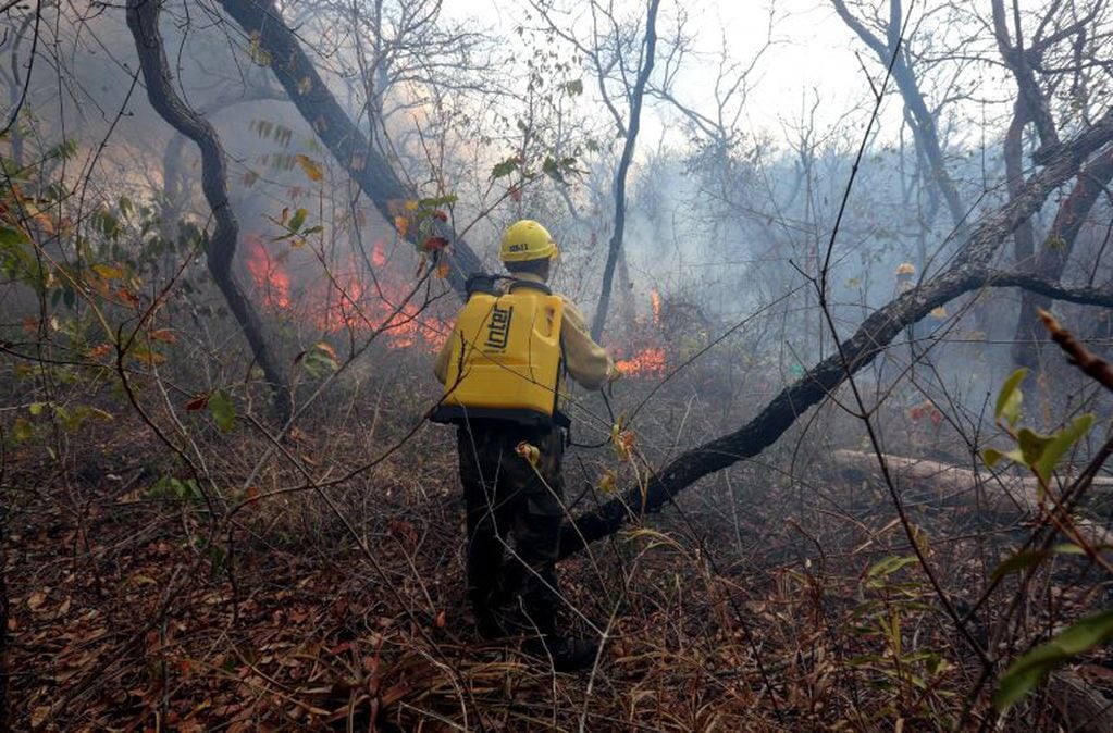 Soldados bolivianos aplacan un incendio en la región de San José de Chiquitos (Bolivia). Los incendios en la región de la Chiquitania boliviana no dan tregua a las cuadrillas formadas por soldados, bomberos y voluntarios que a diario deben vencer los obstáculos del bosque seco para ingresar a los sectores donde los fuegos pueden volver a brotar. Grupos de voluntarios se hacen de mochilas antiincendios y herramientas, además de los accesorios para recorrer kilómetros y liquidar los fuegos que todavía persisten. EFE/ Martin Alipaz