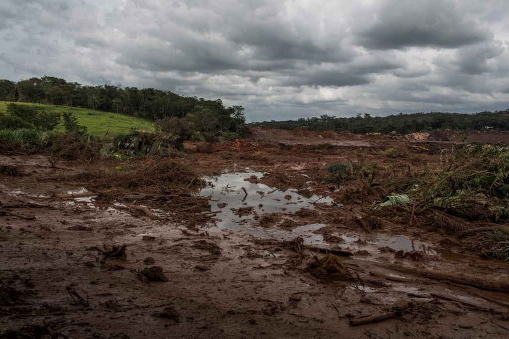 Un total de 37 personas murieron tras la rotura de una represa en la localidad brasileña de Brumadinho (BLOOMBERG).