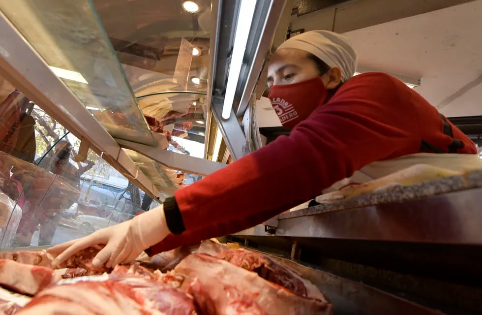 El Gobierno extendió el cepo a las exportaciones de carne. (Orlando Pelichotti / Los Andes)