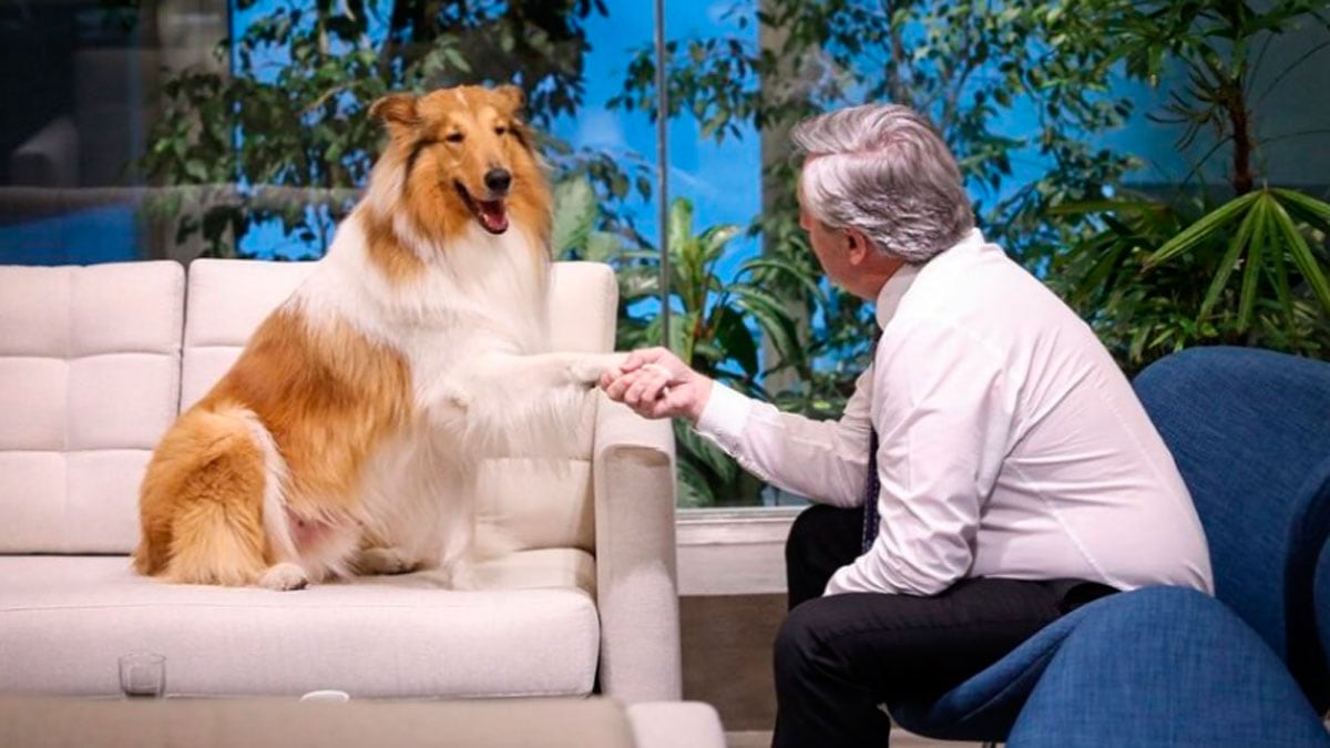 Alberto Fernández y su mascota Dylan