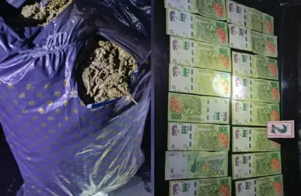 Aristóbulo del Valle: incautan marihuana y dinero en efectivo tras un operativo policial.