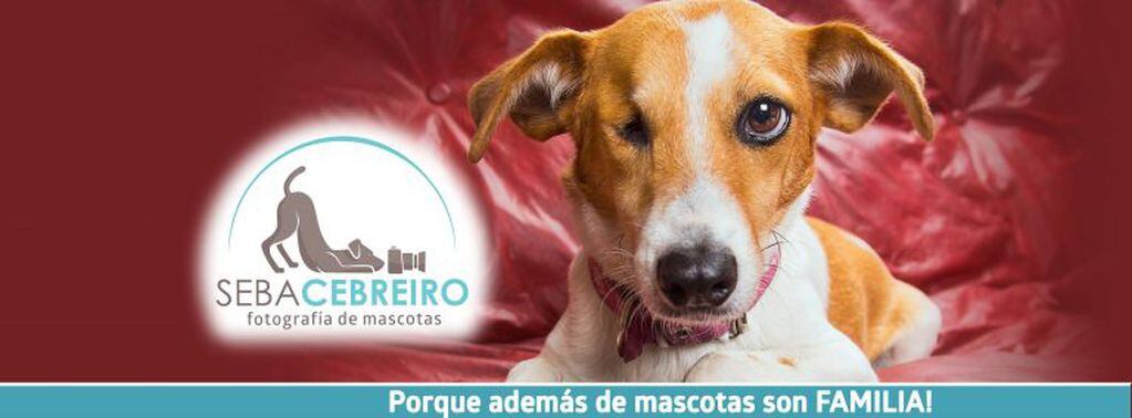 Día Internacional del Perro Callejero: la historia de Sebastián Cebreiro y su perrita Tuerti.
