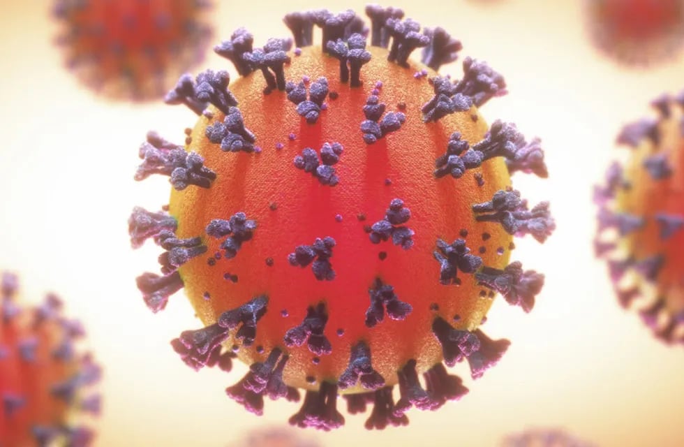 Coronavirus: el Malbrán confirmó que encontraron en Argentina una cepa con la variante de Río de Janeiro. (Imagen ilustrativa)