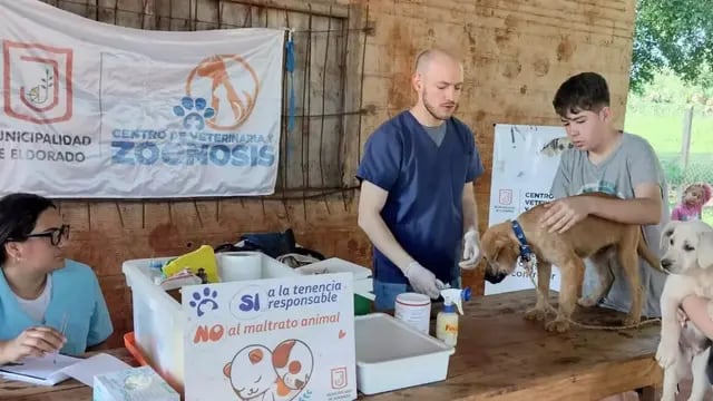 Eldorado: realizarán operativo de zoonosis