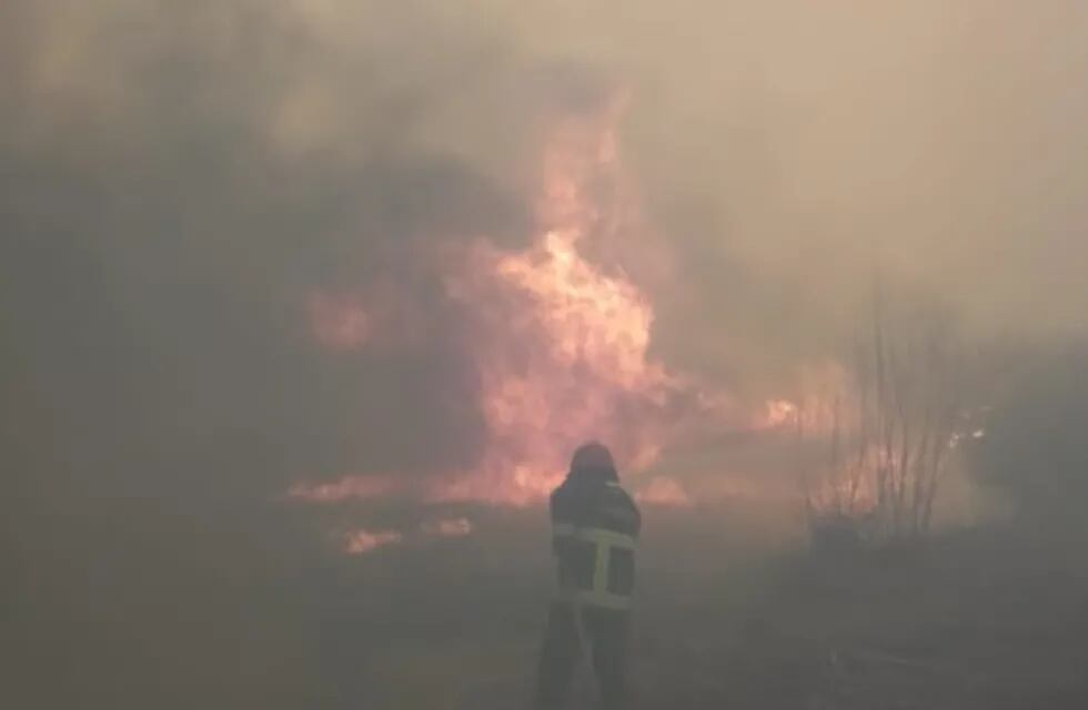 El viento Zonda provocó una gran cantidad de incendios en la provincia.