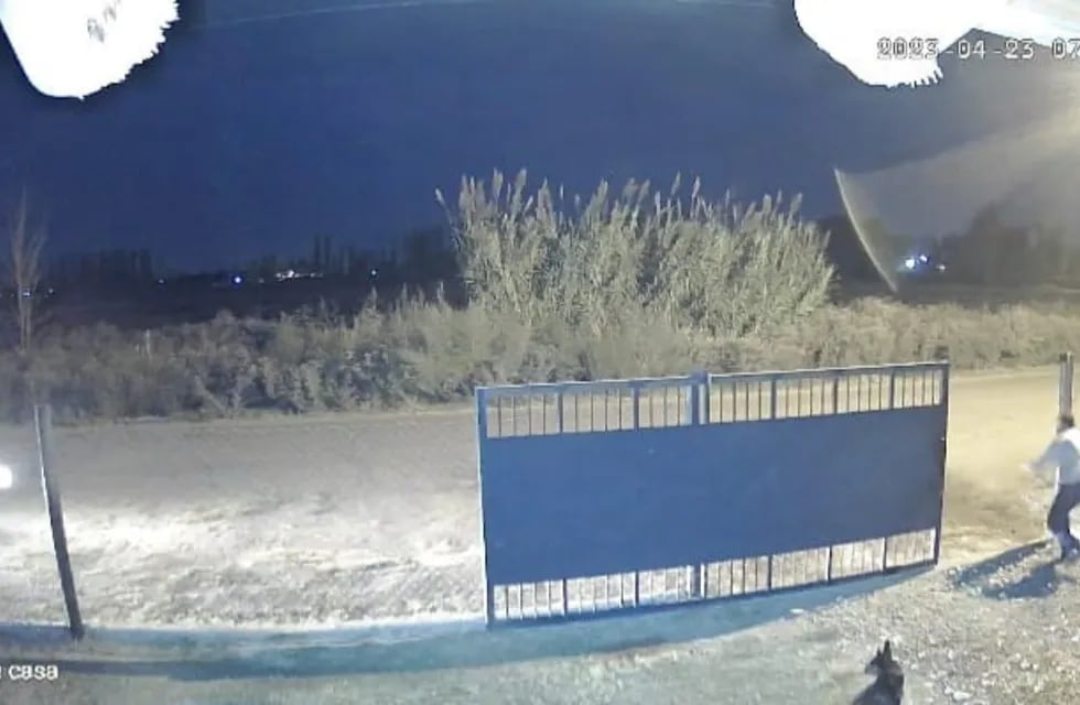 Video: impresionante choque de un conductor mendocino ebrio contra un portón