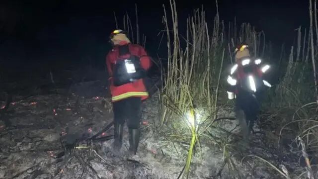 Sofocan incendio en una zona de pinar y malezas en Mártires