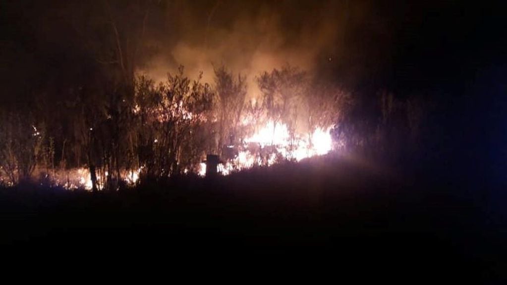 El fin de semana hubo fuego en la zona de islas en y las llamas llegaron a la ruta que conecta Rosario con Victoria. (Bomberos de Victoria)