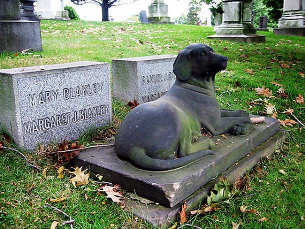 Quieren crear el primer cementerio para mascotas de Salta, (imagen ilustrativa)
