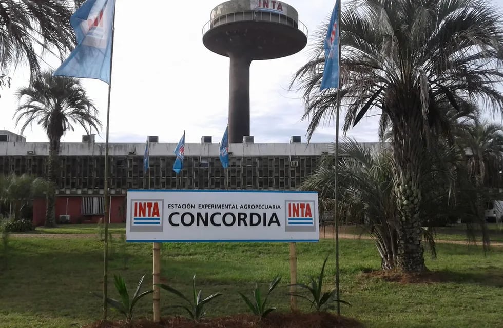 INTA Concordia