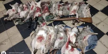 Sorprenden a cazadores furtivos con 16 vizcachas muertas.