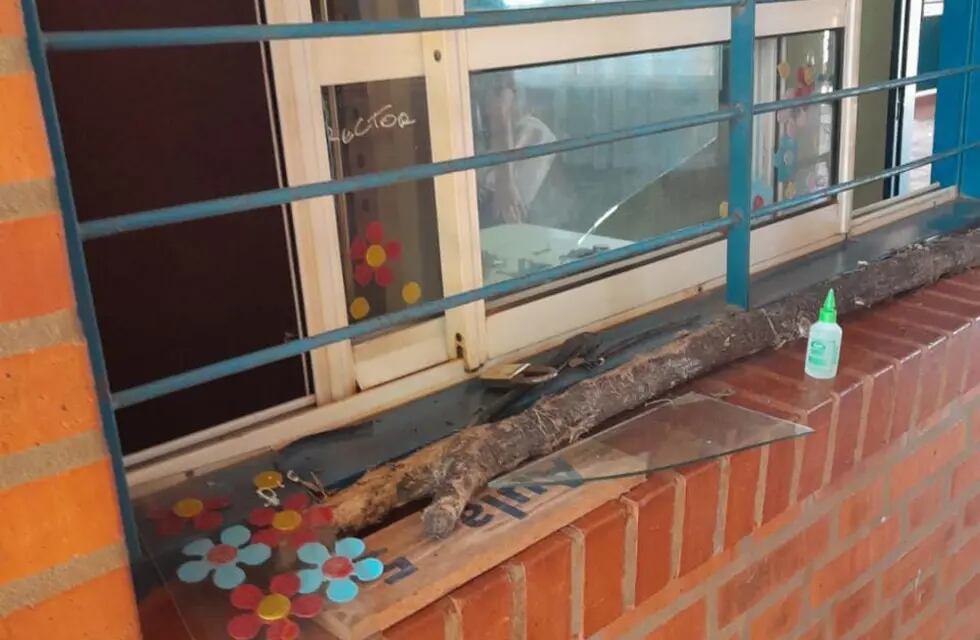 Eldorado: robaron y vandalizaron un establecimiento escolar.
