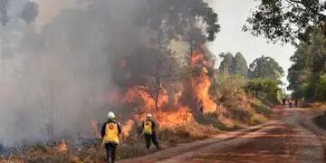 Un nuevo foco de incendio afectó parte del Parque Provincial de la Araucaria