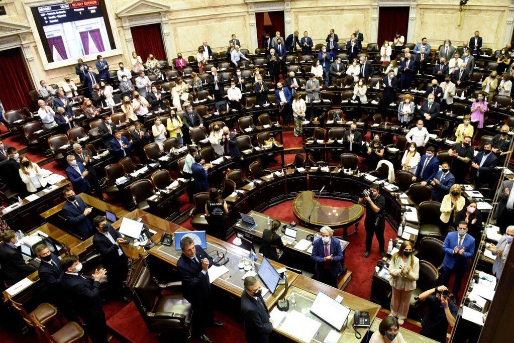 La Cámara de Diputados aprobó con 226 votos el Proyecto. Foto Federico López Claro.