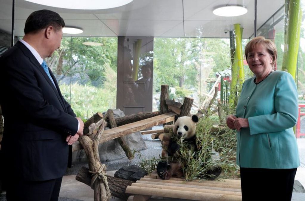 Xi Jinping y Angela Merkel en la presentación de los pandas (AFP)