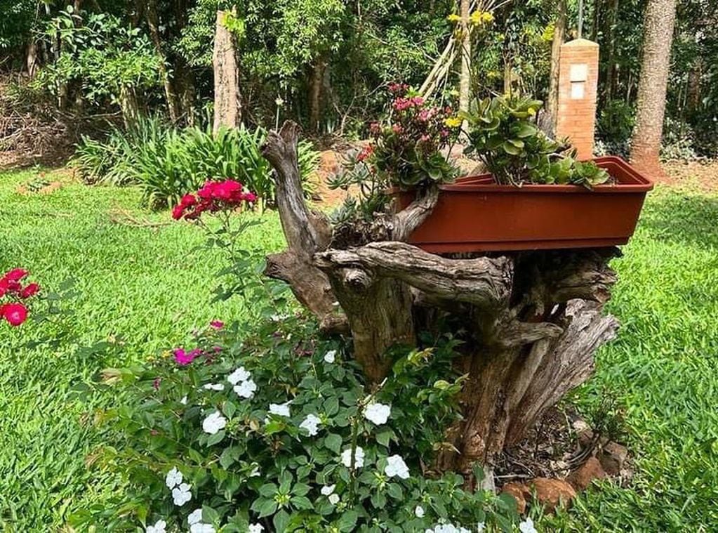 Puerto Rico premió a sus mejores jardines en el marco de una nueva edición del certamen “Primavera en Puerto Rico”, iniciativa de la Dirección de Cultura y Turismo