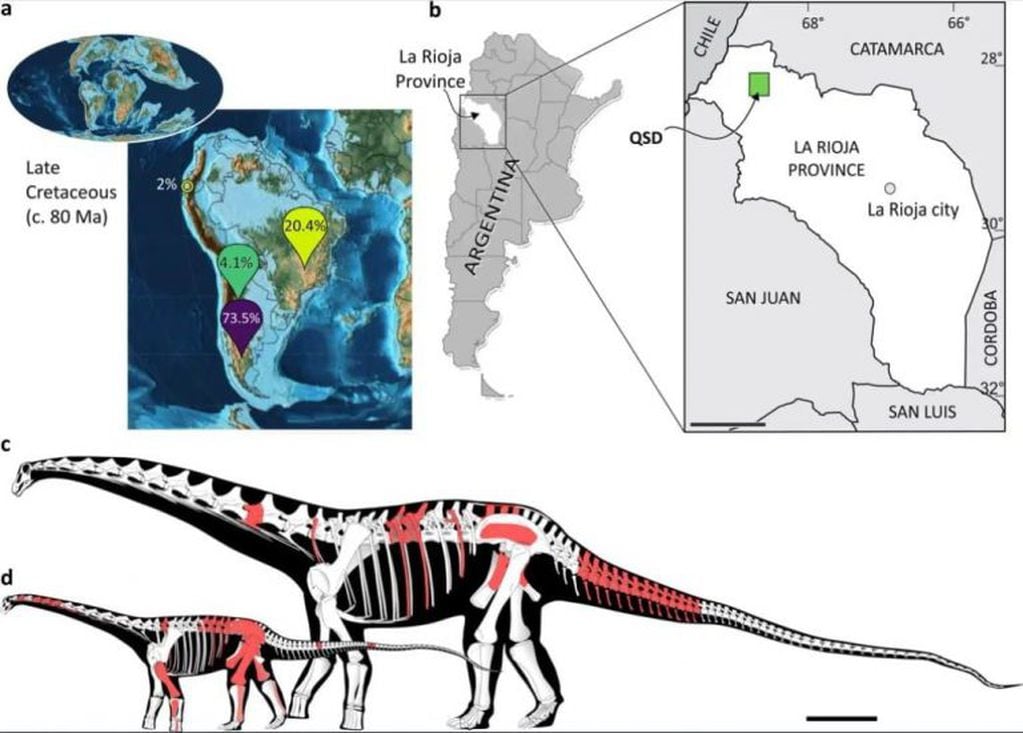 Descubren fósiles de dinosaurios de más de 70 millones de años de antigüedad en La Rioja (Gobierno de La Rioja)