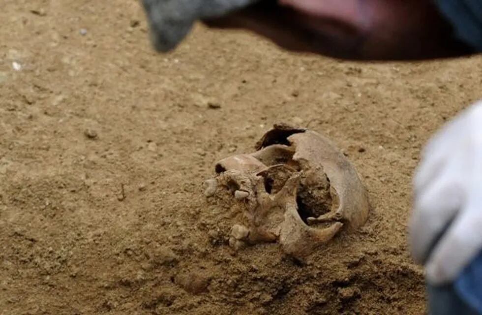 El cráneo fue hallado en San Juan al 2100.