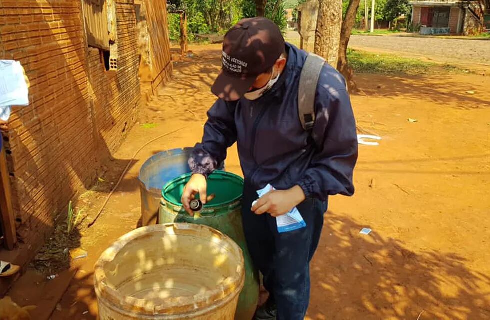 Operativos de limpieza y preventivos contra el dengue en Puerto Iguazú.