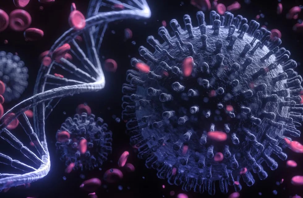 El virus funciona de una manera muy dinámica, produciendo mutaciones que lo hace más letal e infeccioso. Gentileza / www.paho.org
