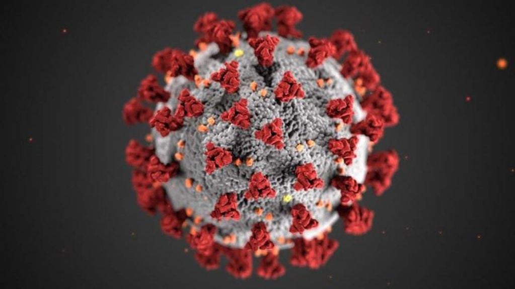 Coronavirus (Foto: EFE/EPA/NIAID- RML/NATIONAL INSTITUTES OF HEALTH)