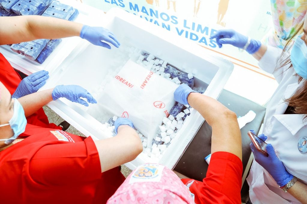 Arribo de vacunas a los Hospitales Regionales de Ushuaia y Río Grande.