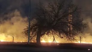 Incendios forestales en Córdoba: hay un nuevo foco activo en Sinsacate.
