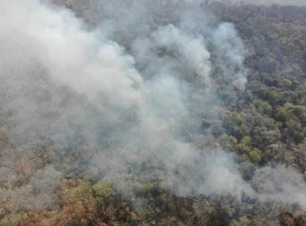 Los incendios forestales en el noreste de Jujuy continúan afectando la zona selvática. Cerca de doscientas personas con el apoyo de tres aviones hidrantes, dos helicópteros y autobombas siguen combatiendo el fuego.