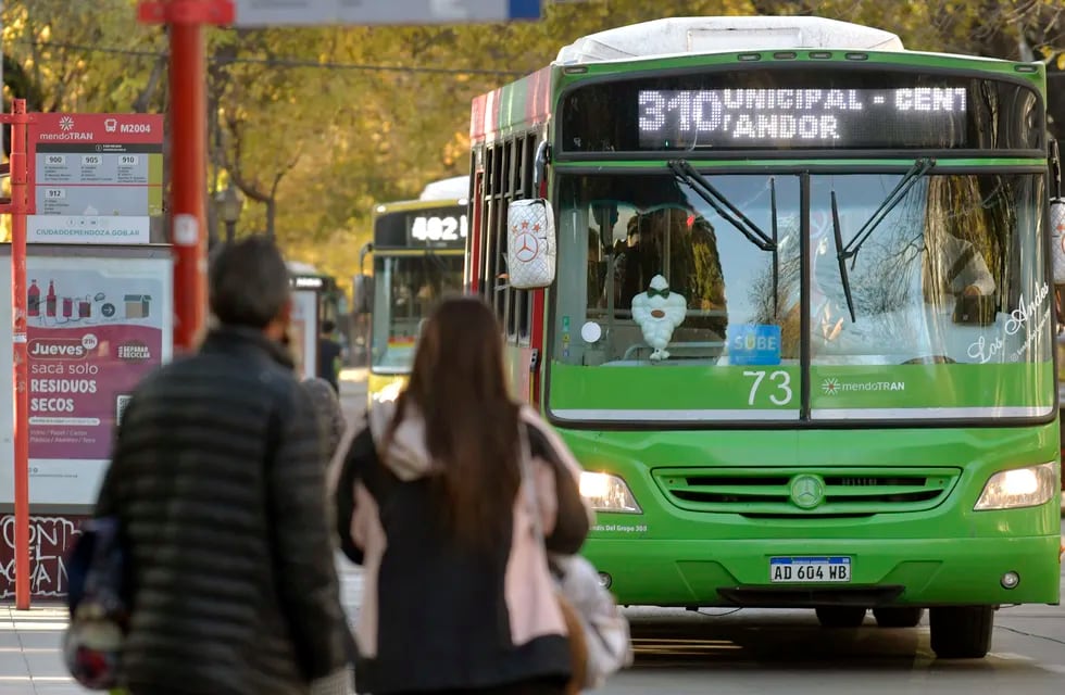 Podría aumentar el transporte público en Mendoza.