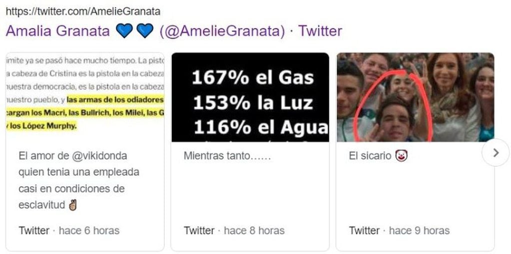 Amalia Granata borró el tuit con la foto del militante, que fue confundido con el atacante de Cristina Kirchner.