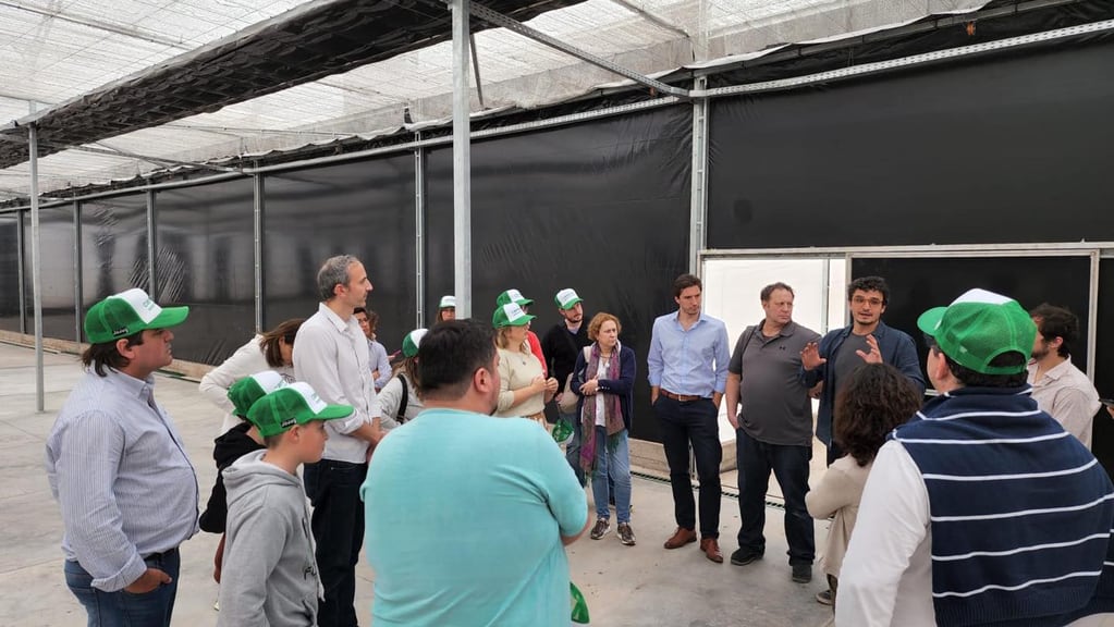 El presidente del directorio de Cannava S.E., Gastón Morales, recibió a la delegación visitantes y condujo la recorrida por las instalaciones donde se produce aceite medicinal de cannabis.