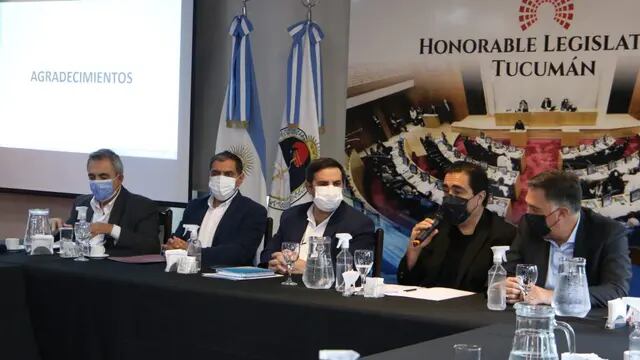 Luis Medina Ruiz expuso sobre la situación sanitaria en la Legislatura.