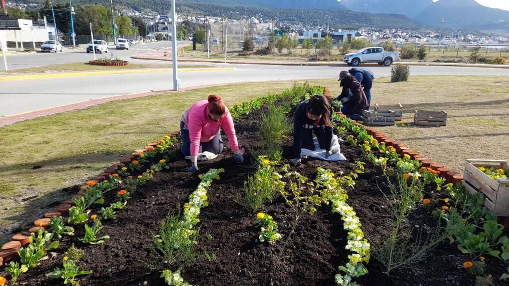 "La producción de plantas es del vivero Municipal, lo que nos permite trabajar con abastecimiento propio”, explicó el coordinador Juan Zanetti.