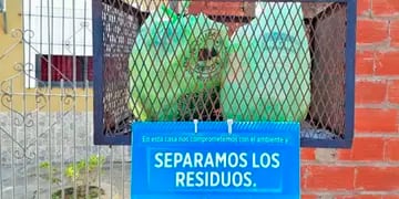Cuáles son los horarios de recolección de residuos para Año Nuevo en Gualeguaychú