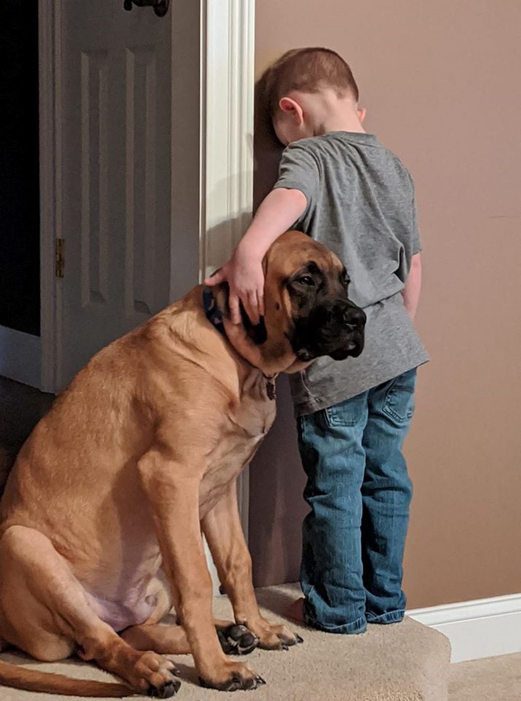 La tierna foto de un perro que acompañó a su dueño de 3 años a cumplir con su penitencia