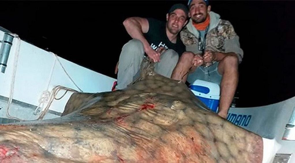Un grupo de amigos pescó una raya de 130 kilos en el río Paraná. (El Sol Digital)