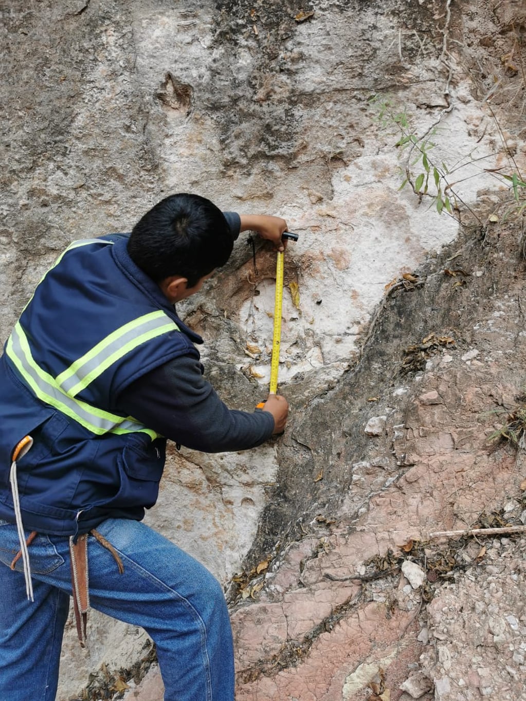 Geólogos y paleontólogos bolivianos trabajan en un yacimiento de pisadas de dinosaurios descubierto en el interior del departamento Tarija.