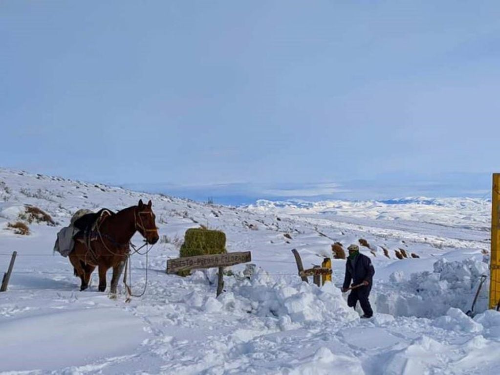 Caminos rurales cortados por la nieve en Bariloche (web).