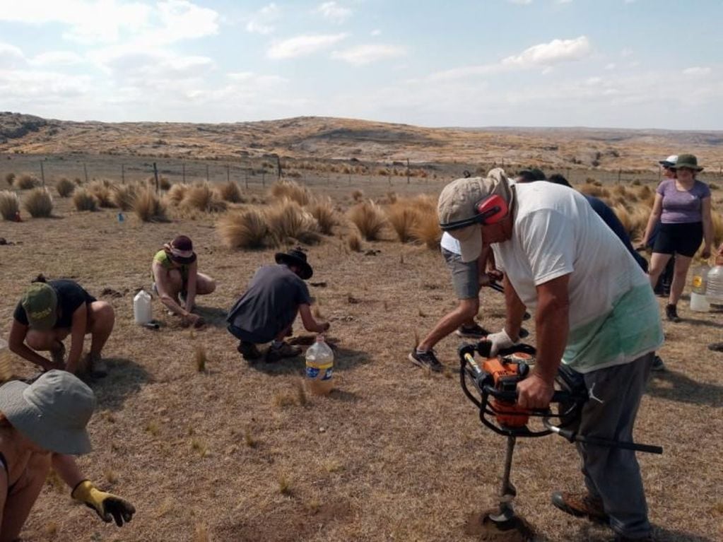 La importancia de reforestar espacios verdes con especies nativas.