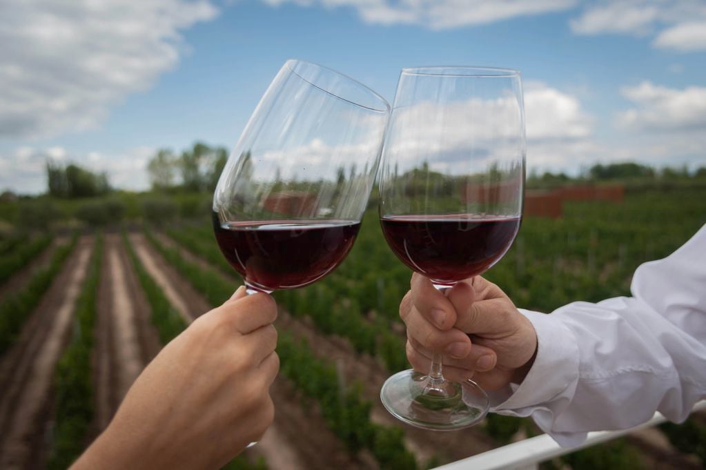 Degustando vino entre viñedos de Mendoza.