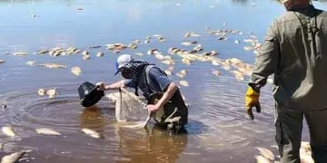 Muerte de peces en el río Salado