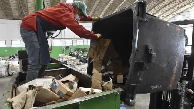 Puntos verdes. En los centros de reciclado municipales se trabaja casi exclusivamente con papel. (La Voz)