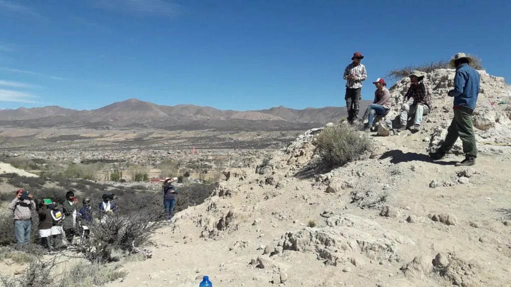 El pasado miércoles terminó el proceso de extracción de los restos fósiles hallados en cercanías del barrio La Merced, en Humahuaca. Un grupo de alumnos de una escuela primaria el lugar presenció los trabajos.