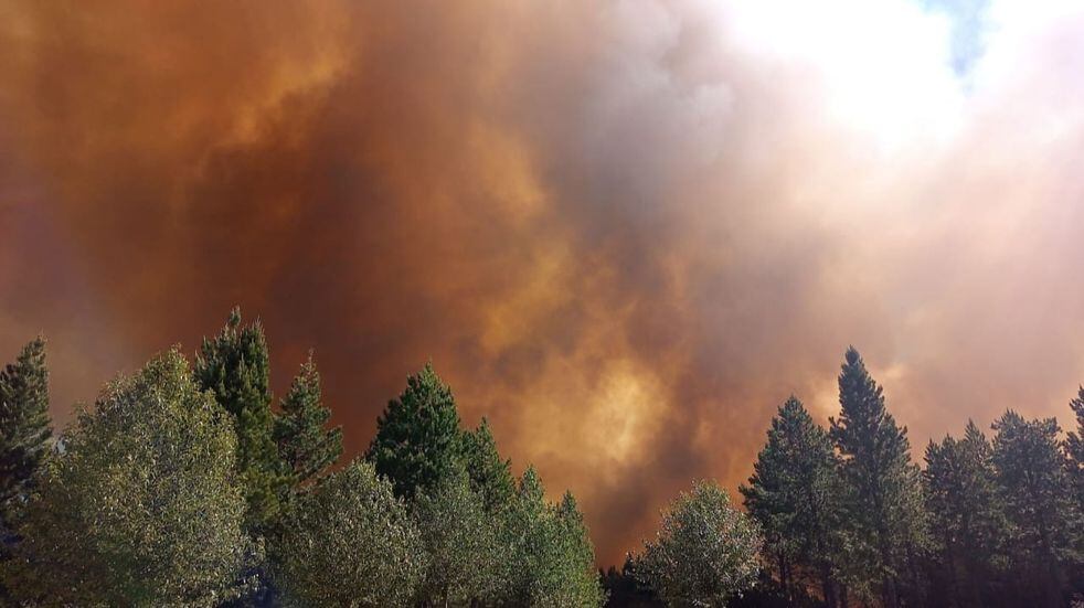 El incendio forestal en la zona de Aluminé no da tregua.