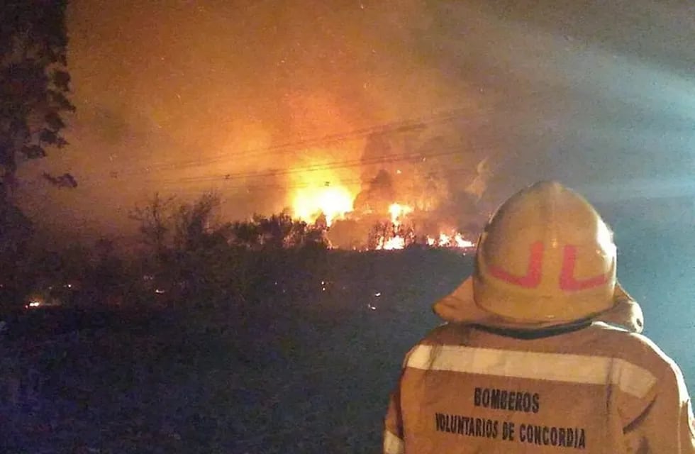 Incendios forestales en Concordia.