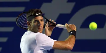 Juan Martín del Potro está en el puesto 35 del escalafón.