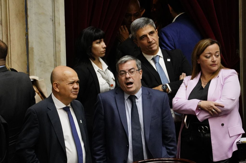 El debate de la Ley Bases en la Cámara de Diputados (Foto: Federico López Claro)