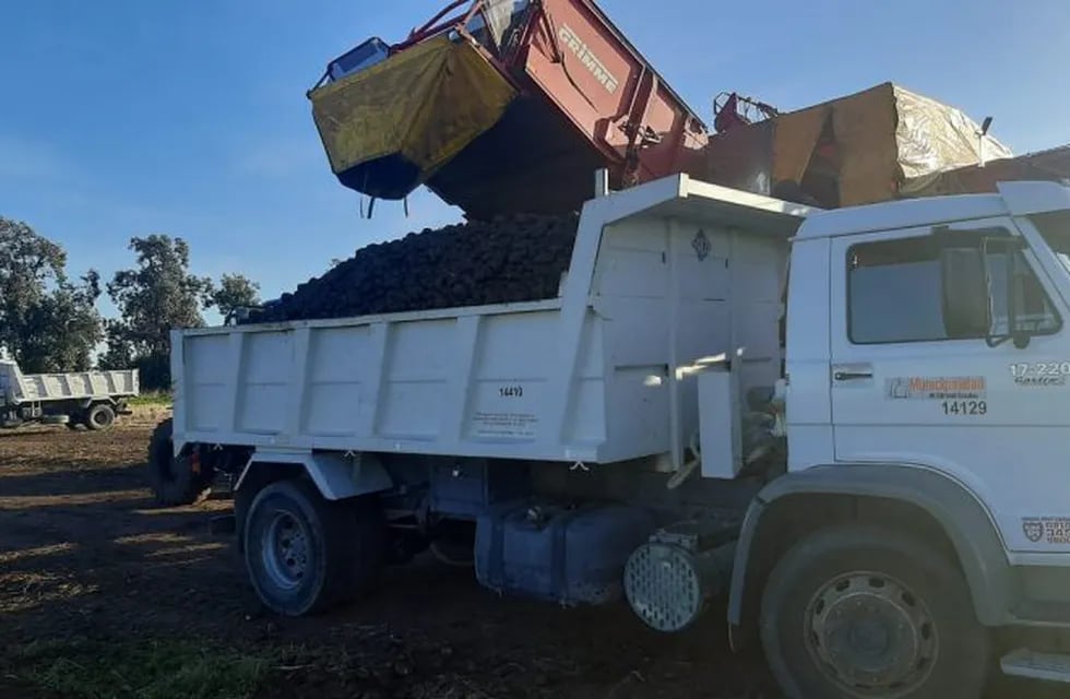 Llegarán 30 toneladas de papas a Punta Alta